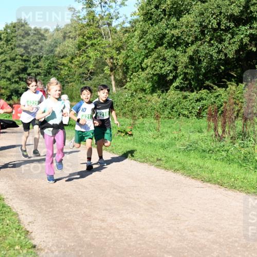27.09.2026 - 35. Volkslauf durch das schöne Alstertal Dr. Thomas Lammeyer http://msf.ph/oto/10567081 27.09.2026 10:42:00 Laufen 4226, 10, 421, 4218 meine-sportfotos.de