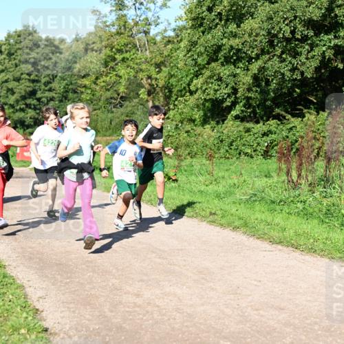 27.09.2026 - 35. Volkslauf durch das schöne Alstertal Dr. Thomas Lammeyer http://msf.ph/oto/10567083 27.09.2026 10:42:00 Laufen 4226 meine-sportfotos.de