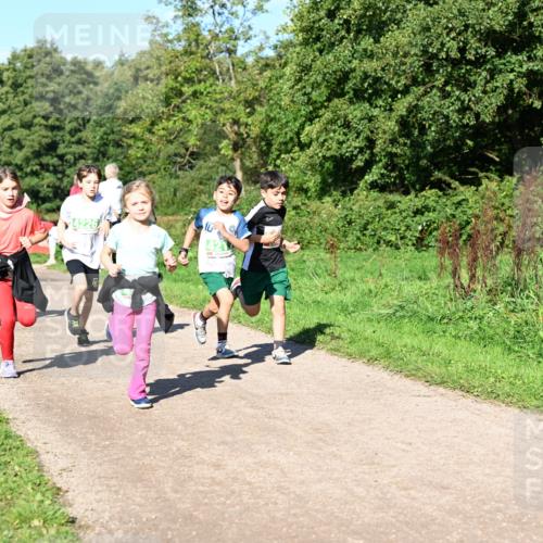 27.09.2026 - 35. Volkslauf durch das schöne Alstertal Dr. Thomas Lammeyer http://msf.ph/oto/10567084 27.09.2026 10:42:01 Laufen 10, 7 meine-sportfotos.de