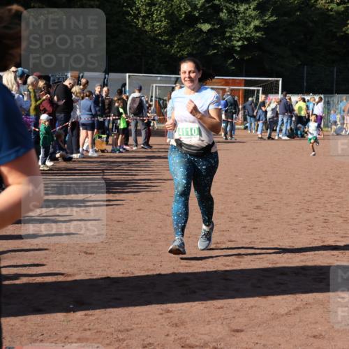 27.09.2026 - 35. Volkslauf durch das schöne Alstertal Strokosch-Dieckow http://msf.ph/oto/10567087 27.09.2026 11:02:12 Ziel 4062, 4110, 4217 meine-sportfotos.de