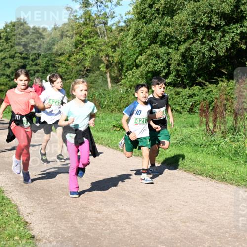 27.09.2026 - 35. Volkslauf durch das schöne Alstertal Dr. Thomas Lammeyer http://msf.ph/oto/10567088 27.09.2026 10:42:01 Laufen 4226, 10, 421 meine-sportfotos.de