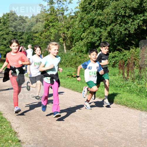 27.09.2026 - 35. Volkslauf durch das schöne Alstertal Dr. Thomas Lammeyer http://msf.ph/oto/10567089 27.09.2026 10:42:01 Laufen 4226, 10, 421 meine-sportfotos.de