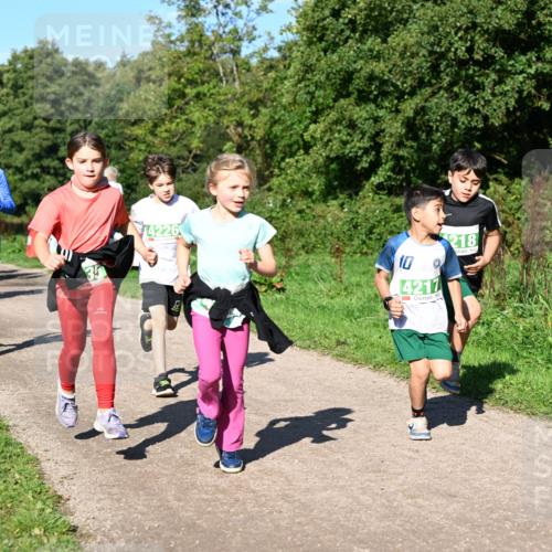 27.09.2026 - 35. Volkslauf durch das schöne Alstertal Dr. Thomas Lammeyer http://msf.ph/oto/10567092 27.09.2026 10:42:01 Laufen 4226, 136, 10, 4217, 218 meine-sportfotos.de