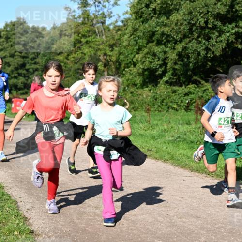 27.09.2026 - 35. Volkslauf durch das schöne Alstertal Dr. Thomas Lammeyer http://msf.ph/oto/10567093 27.09.2026 10:42:02 Laufen 413, 226, 10, 421, 4218 meine-sportfotos.de