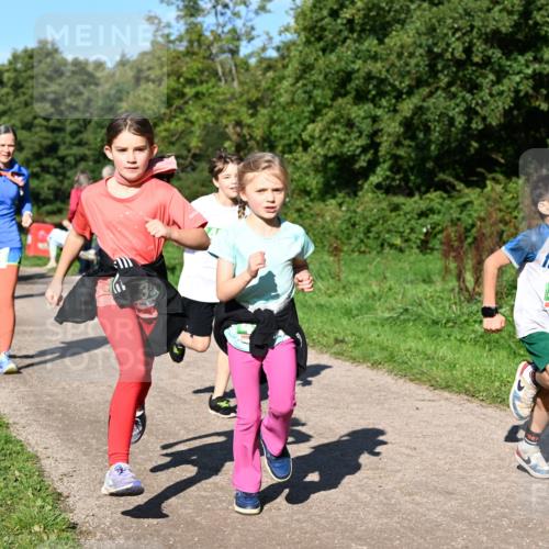 27.09.2026 - 35. Volkslauf durch das schöne Alstertal Dr. Thomas Lammeyer http://msf.ph/oto/10567094 27.09.2026 10:42:02 Laufen 10, 421, 421 meine-sportfotos.de
