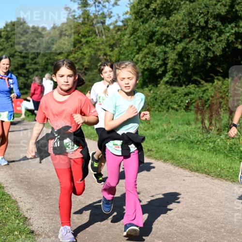 27.09.2026 - 35. Volkslauf durch das schöne Alstertal Dr. Thomas Lammeyer http://msf.ph/oto/10567095 27.09.2026 10:42:02 Laufen 3, 10, 10, 421, 78 meine-sportfotos.de