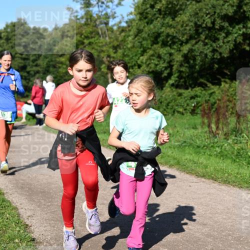 27.09.2026 - 35. Volkslauf durch das schöne Alstertal Dr. Thomas Lammeyer http://msf.ph/oto/10567097 27.09.2026 10:42:02 Laufen 424, 10 meine-sportfotos.de