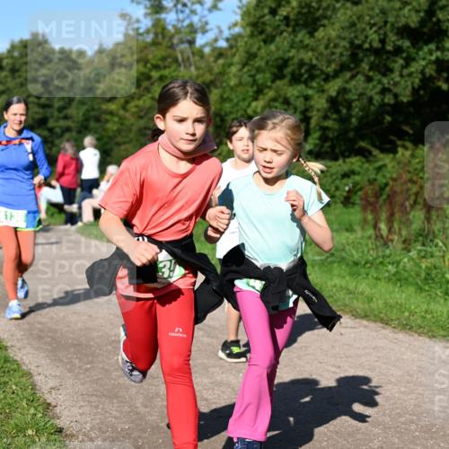 27.09.2026 - 35. Volkslauf durch das schöne Alstertal Dr. Thomas Lammeyer http://msf.ph/oto/10567098 27.09.2026 10:42:02 Laufen 3 meine-sportfotos.de