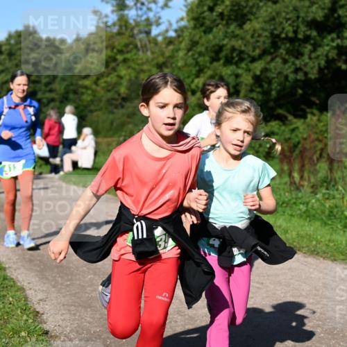 27.09.2026 - 35. Volkslauf durch das schöne Alstertal Dr. Thomas Lammeyer http://msf.ph/oto/10567099 27.09.2026 10:42:02 Laufen 3 meine-sportfotos.de