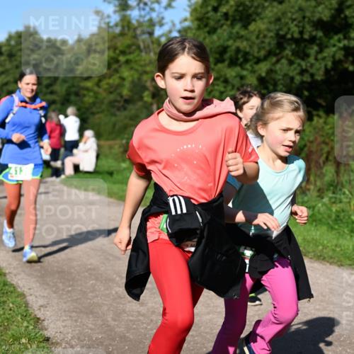 27.09.2026 - 35. Volkslauf durch das schöne Alstertal Dr. Thomas Lammeyer http://msf.ph/oto/10567100 27.09.2026 10:42:02 Laufen  meine-sportfotos.de