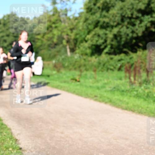 27.09.2026 - 35. Volkslauf durch das schöne Alstertal Dr. Thomas Lammeyer http://msf.ph/oto/10567121 27.09.2026 10:42:05 Laufen  meine-sportfotos.de