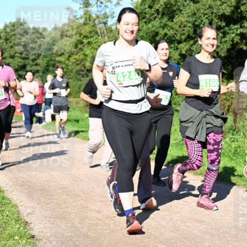 27.09.2026 - 35. Volkslauf durch das schöne Alstertal Dr. Thomas Lammeyer http://msf.ph/oto/10567157 27.09.2026 10:42:09 Laufen 4240, 4166, 4167, 5 meine-sportfotos.de