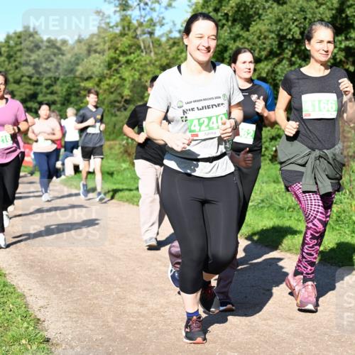 27.09.2026 - 35. Volkslauf durch das schöne Alstertal Dr. Thomas Lammeyer http://msf.ph/oto/10567158 27.09.2026 10:42:09 Laufen 2026, 4240, 4166, 4167 meine-sportfotos.de