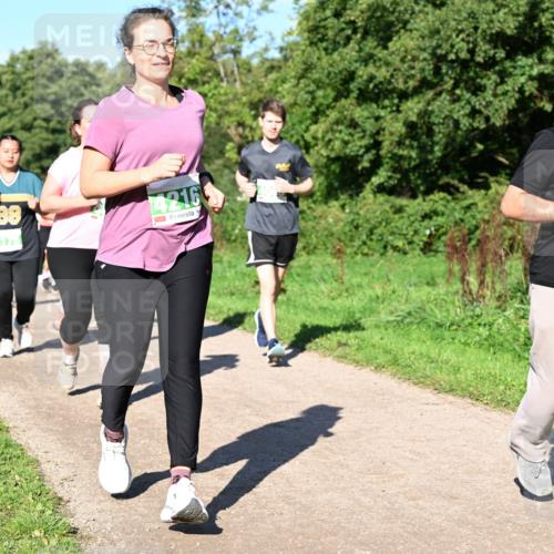 27.09.2026 - 35. Volkslauf durch das schöne Alstertal Dr. Thomas Lammeyer http://msf.ph/oto/10567174 27.09.2026 10:42:11 Laufen 178, 4216, 19 meine-sportfotos.de