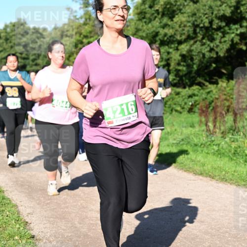 27.09.2026 - 35. Volkslauf durch das schöne Alstertal Dr. Thomas Lammeyer http://msf.ph/oto/10567179 27.09.2026 10:42:11 Laufen 88, 4216 meine-sportfotos.de