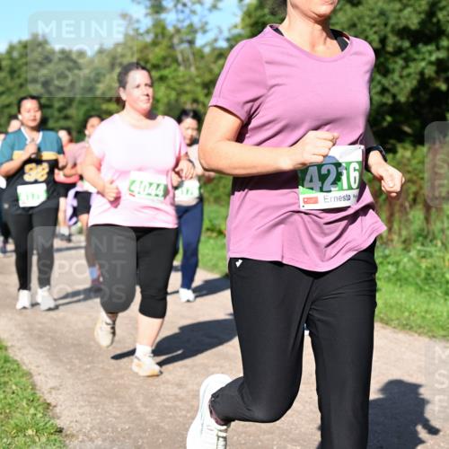 27.09.2026 - 35. Volkslauf durch das schöne Alstertal Dr. Thomas Lammeyer http://msf.ph/oto/10567180 27.09.2026 10:42:11 Laufen 4044, 4216 meine-sportfotos.de