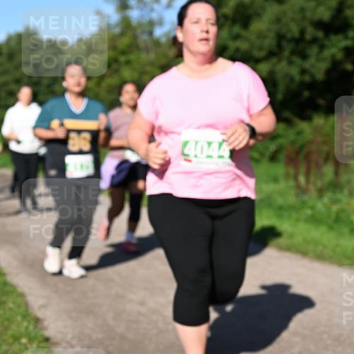 27.09.2026 - 35. Volkslauf durch das schöne Alstertal Dr. Thomas Lammeyer http://msf.ph/oto/10567190 27.09.2026 10:42:13 Laufen  meine-sportfotos.de
