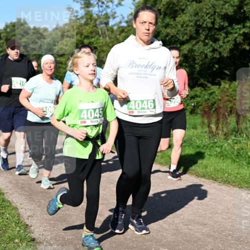 27.09.2026 - 35. Volkslauf durch das schöne Alstertal Dr. Thomas Lammeyer http://msf.ph/oto/10567220 27.09.2026 10:42:16 Laufen 1982, 4046, 106, 4045 meine-sportfotos.de