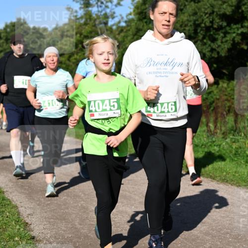 27.09.2026 - 35. Volkslauf durch das schöne Alstertal Dr. Thomas Lammeyer http://msf.ph/oto/10567223 27.09.2026 10:42:16 Laufen 410, 4045, 4046 meine-sportfotos.de