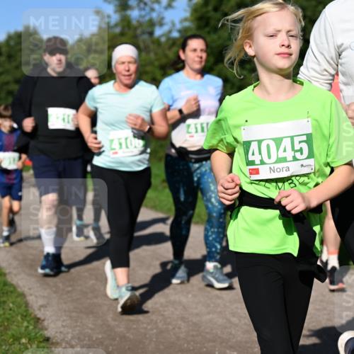 27.09.2026 - 35. Volkslauf durch das schöne Alstertal Dr. Thomas Lammeyer http://msf.ph/oto/10567230 27.09.2026 10:42:17 Laufen 1982, 4106, 411, 4045, 4046 meine-sportfotos.de