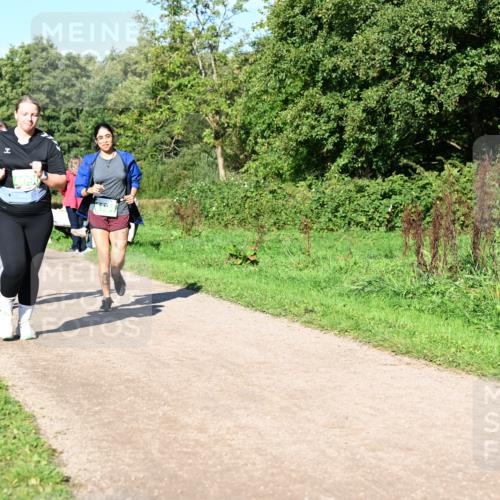27.09.2026 - 35. Volkslauf durch das schöne Alstertal Dr. Thomas Lammeyer http://msf.ph/oto/10567402 27.09.2026 10:42:37 Laufen  meine-sportfotos.de