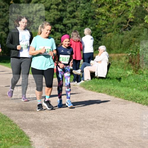 27.09.2026 - 35. Volkslauf durch das schöne Alstertal Dr. Thomas Lammeyer http://msf.ph/oto/10567451 27.09.2026 10:42:53 Laufen 4189, 086, 4156 meine-sportfotos.de