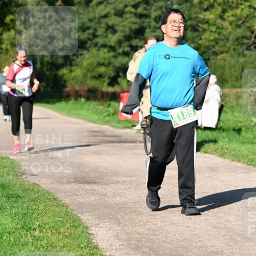 27.09.2026 - 35. Volkslauf durch das schöne Alstertal Dr. Thomas Lammeyer http://msf.ph/oto/10567489 27.09.2026 10:43:00 Laufen 4189 meine-sportfotos.de