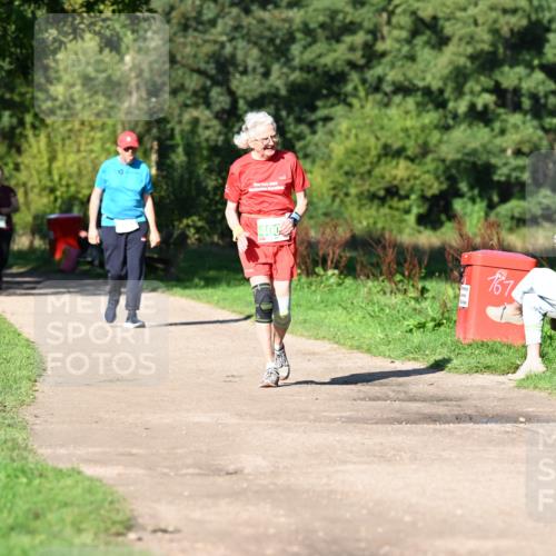 27.09.2026 - 35. Volkslauf durch das schöne Alstertal Dr. Thomas Lammeyer http://msf.ph/oto/10567547 27.09.2026 10:43:24 Laufen 87 meine-sportfotos.de