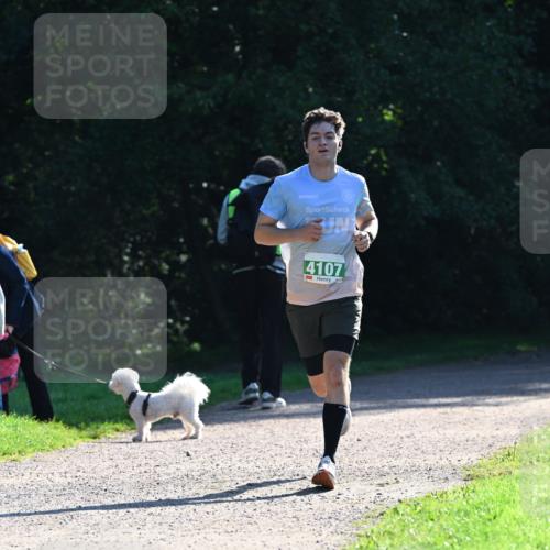 27.09.2026 - 35. Volkslauf durch das schöne Alstertal Dr. Thomas Lammeyer http://msf.ph/oto/10567634 27.09.2026 10:46:58 Laufen 4107 meine-sportfotos.de