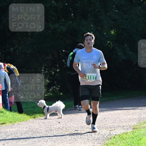 27.09.2026 - 35. Volkslauf durch das schöne Alstertal Dr. Thomas Lammeyer http://msf.ph/oto/10567635 27.09.2026 10:46:58 Laufen 4107 meine-sportfotos.de