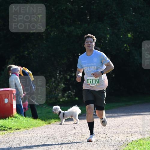 27.09.2026 - 35. Volkslauf durch das schöne Alstertal Dr. Thomas Lammeyer http://msf.ph/oto/10567637 27.09.2026 10:46:58 Laufen 4107 meine-sportfotos.de
