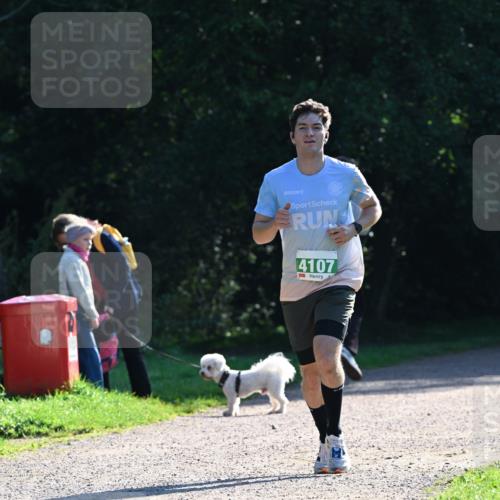 27.09.2026 - 35. Volkslauf durch das schöne Alstertal Dr. Thomas Lammeyer http://msf.ph/oto/10567638 27.09.2026 10:46:58 Laufen 4107 meine-sportfotos.de
