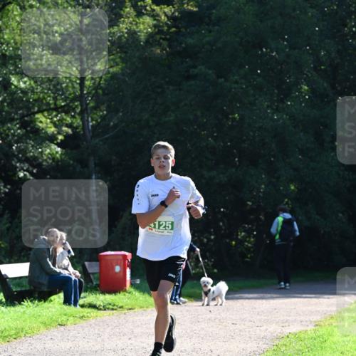27.09.2026 - 35. Volkslauf durch das schöne Alstertal Dr. Thomas Lammeyer http://msf.ph/oto/10567663 27.09.2026 10:47:04 Laufen 125 meine-sportfotos.de