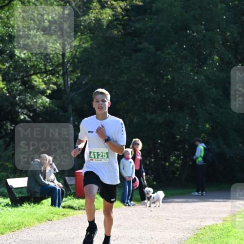 27.09.2026 - 35. Volkslauf durch das schöne Alstertal Dr. Thomas Lammeyer http://msf.ph/oto/10567665 27.09.2026 10:47:05 Laufen 4125 meine-sportfotos.de