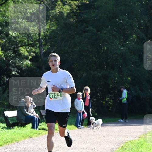 27.09.2026 - 35. Volkslauf durch das schöne Alstertal Dr. Thomas Lammeyer http://msf.ph/oto/10567666 27.09.2026 10:47:05 Laufen 4125 meine-sportfotos.de
