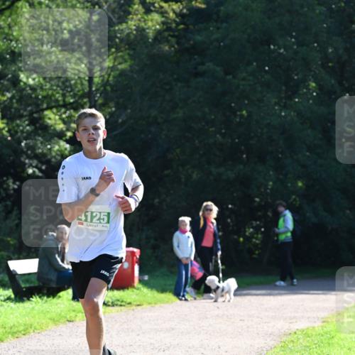 27.09.2026 - 35. Volkslauf durch das schöne Alstertal Dr. Thomas Lammeyer http://msf.ph/oto/10567668 27.09.2026 10:47:05 Laufen 4125 meine-sportfotos.de