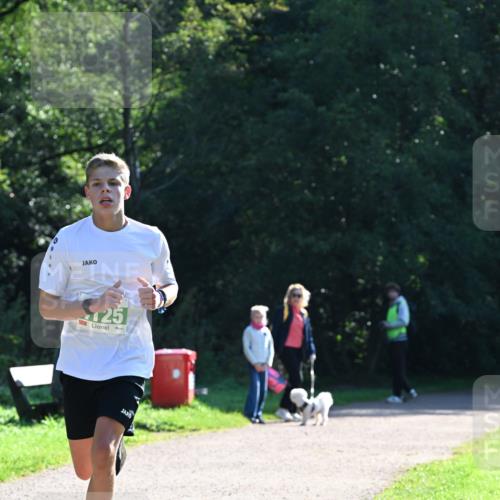27.09.2026 - 35. Volkslauf durch das schöne Alstertal Dr. Thomas Lammeyer http://msf.ph/oto/10567669 27.09.2026 10:47:05 Laufen 25 meine-sportfotos.de