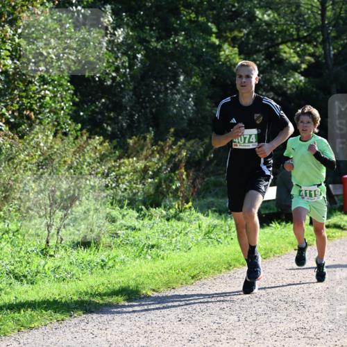 27.09.2026 - 35. Volkslauf durch das schöne Alstertal Dr. Thomas Lammeyer http://msf.ph/oto/10567686 27.09.2026 10:47:28 Laufen 4074, 4119 meine-sportfotos.de