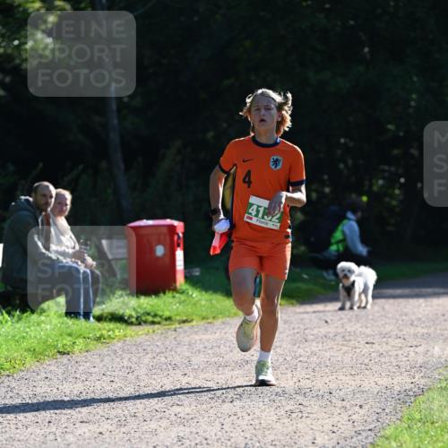 27.09.2026 - 35. Volkslauf durch das schöne Alstertal Dr. Thomas Lammeyer http://msf.ph/oto/10567702 27.09.2026 10:47:43 Laufen 4132 meine-sportfotos.de
