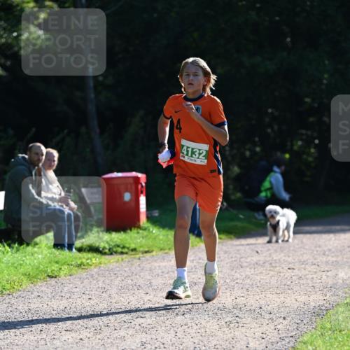 27.09.2026 - 35. Volkslauf durch das schöne Alstertal Dr. Thomas Lammeyer http://msf.ph/oto/10567703 27.09.2026 10:47:44 Laufen 4132 meine-sportfotos.de