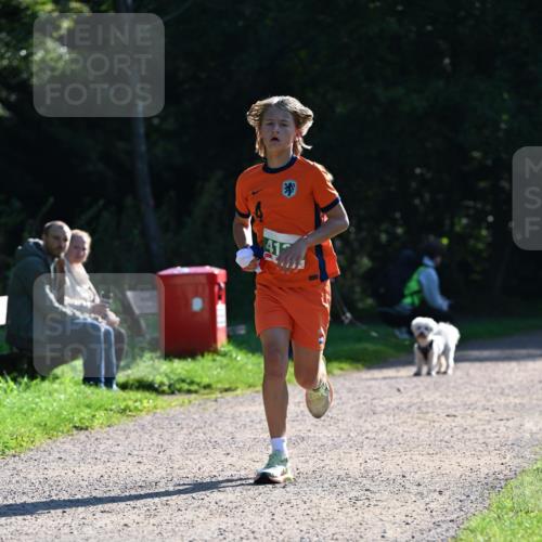27.09.2026 - 35. Volkslauf durch das schöne Alstertal Dr. Thomas Lammeyer http://msf.ph/oto/10567704 27.09.2026 10:47:44 Laufen  meine-sportfotos.de