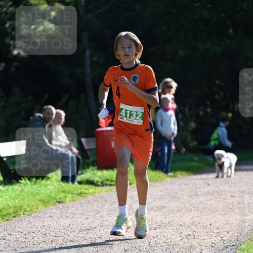 27.09.2026 - 35. Volkslauf durch das schöne Alstertal Dr. Thomas Lammeyer http://msf.ph/oto/10567708 27.09.2026 10:47:44 Laufen 4132 meine-sportfotos.de