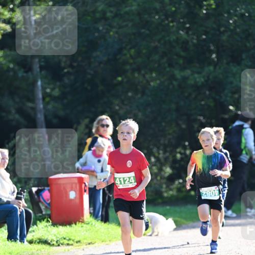 27.09.2026 - 35. Volkslauf durch das schöne Alstertal Dr. Thomas Lammeyer http://msf.ph/oto/10567745 27.09.2026 10:48:20 Laufen 4124, 2801 meine-sportfotos.de