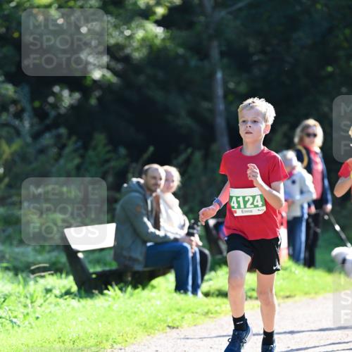 27.09.2026 - 35. Volkslauf durch das schöne Alstertal Dr. Thomas Lammeyer http://msf.ph/oto/10567753 27.09.2026 10:48:21 Laufen 4124 meine-sportfotos.de