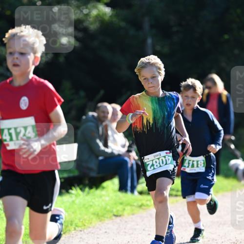 27.09.2026 - 35. Volkslauf durch das schöne Alstertal Dr. Thomas Lammeyer http://msf.ph/oto/10567757 27.09.2026 10:48:22 Laufen 4124, 4082, 4118 meine-sportfotos.de