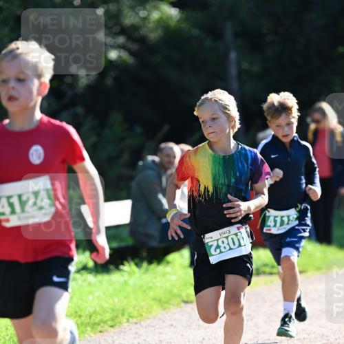 27.09.2026 - 35. Volkslauf durch das schöne Alstertal Dr. Thomas Lammeyer http://msf.ph/oto/10567758 27.09.2026 10:48:23 Laufen 4124, 4082, 4118 meine-sportfotos.de