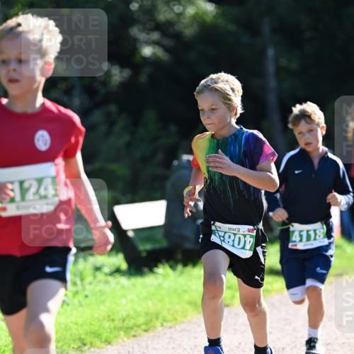 27.09.2026 - 35. Volkslauf durch das schöne Alstertal Dr. Thomas Lammeyer http://msf.ph/oto/10567759 27.09.2026 10:48:23 Laufen 124, 408, 4118 meine-sportfotos.de