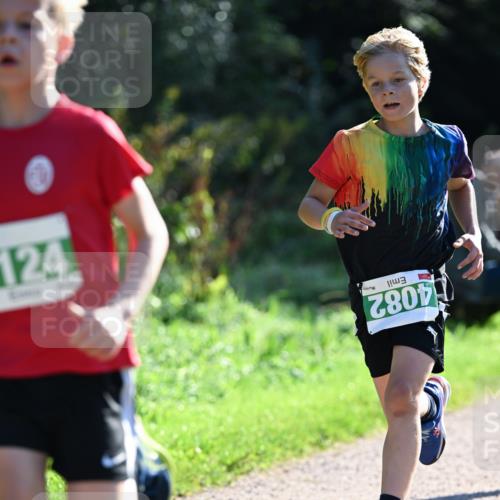 27.09.2026 - 35. Volkslauf durch das schöne Alstertal Dr. Thomas Lammeyer http://msf.ph/oto/10567762 27.09.2026 10:48:23 Laufen 4082, 721 meine-sportfotos.de