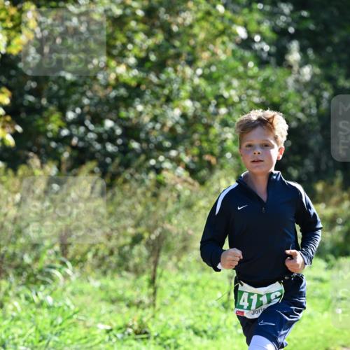 27.09.2026 - 35. Volkslauf durch das schöne Alstertal Dr. Thomas Lammeyer http://msf.ph/oto/10567773 27.09.2026 10:48:25 Laufen 4119 meine-sportfotos.de