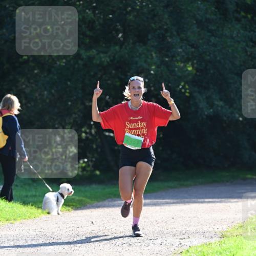 27.09.2026 - 35. Volkslauf durch das schöne Alstertal Dr. Thomas Lammeyer http://msf.ph/oto/10567776 27.09.2026 10:48:34 Laufen 368 meine-sportfotos.de